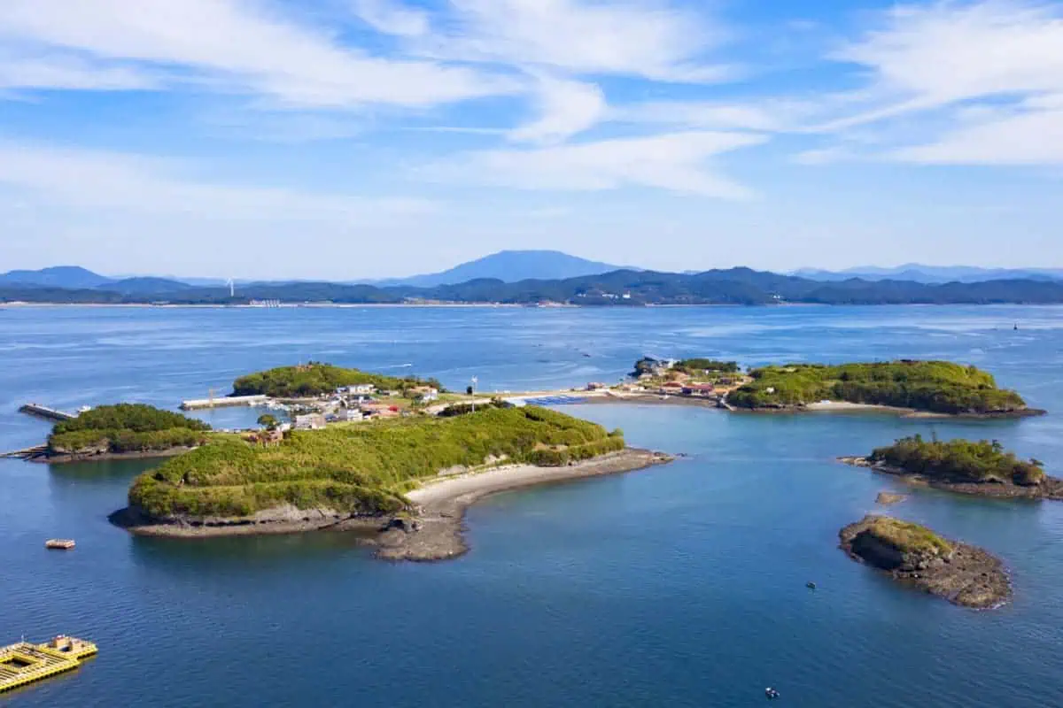 죽도 전경