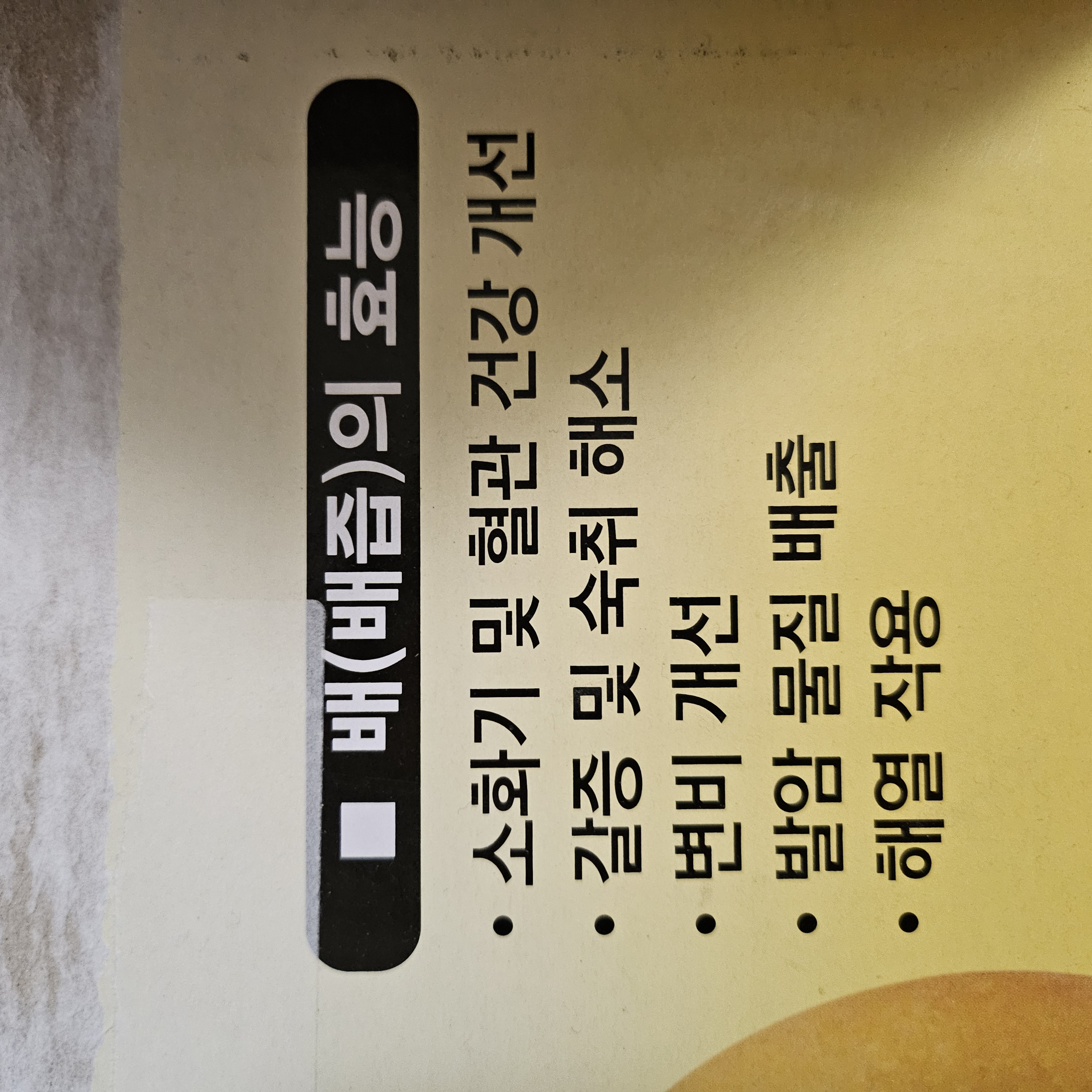 배즙 효능