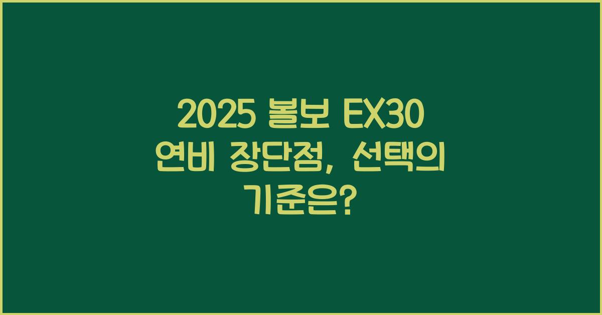 2025 볼보 EX30 연비 장단점