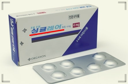 싱규레이어 사진