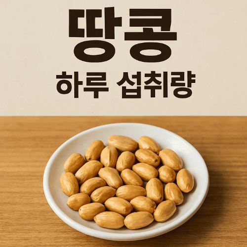 땅콩 하루 섭취량-썸네일이미지