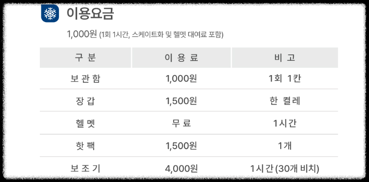 서울광장 스케이트장