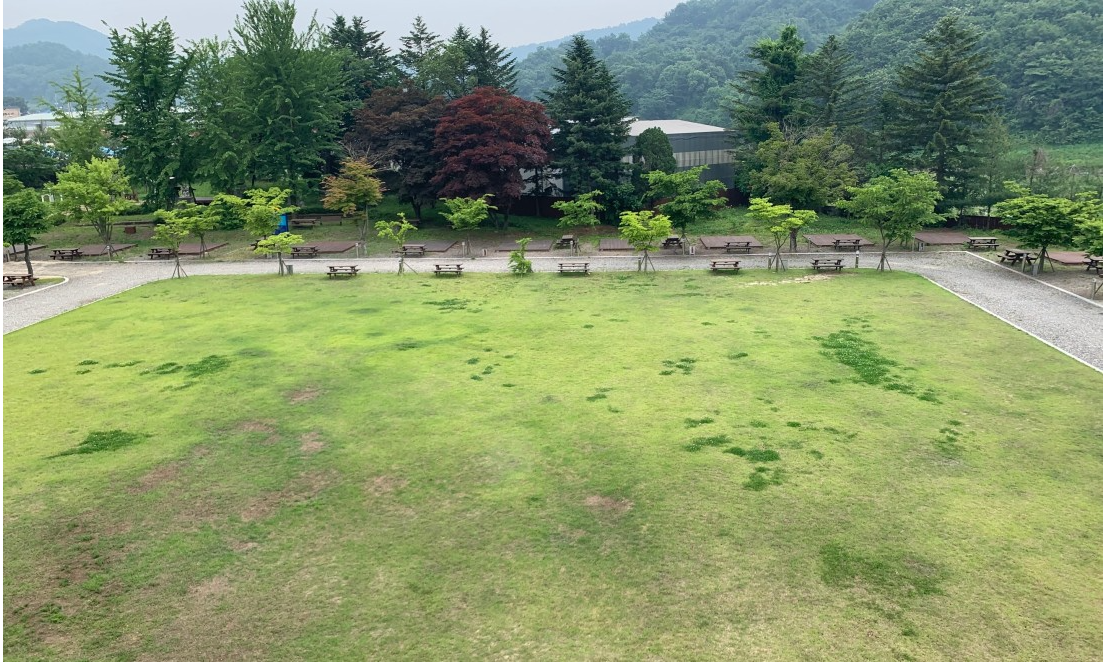 파주 별난독서 캠핑장사진