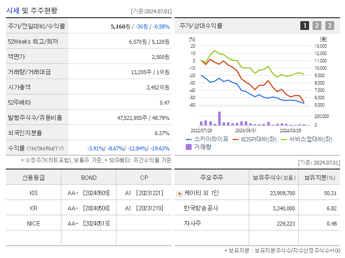 스카이라이프_기업개요