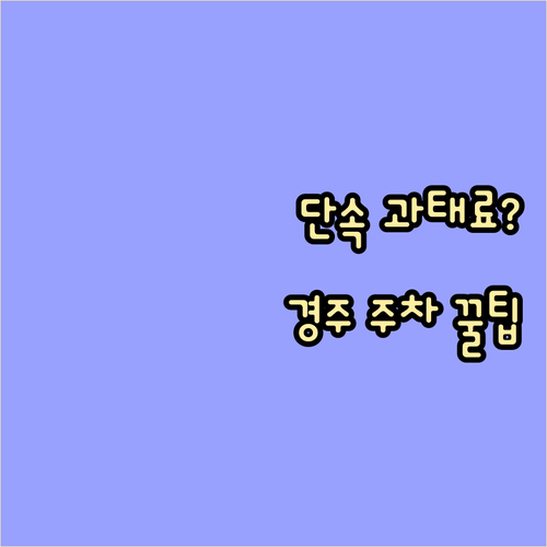 경주시 주정차단속알림 문자 서비스 신..