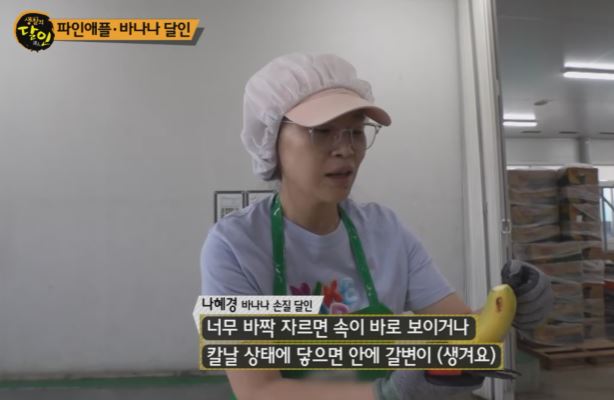 바나나 달인