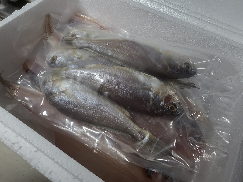 군산코렉스건어물-조기