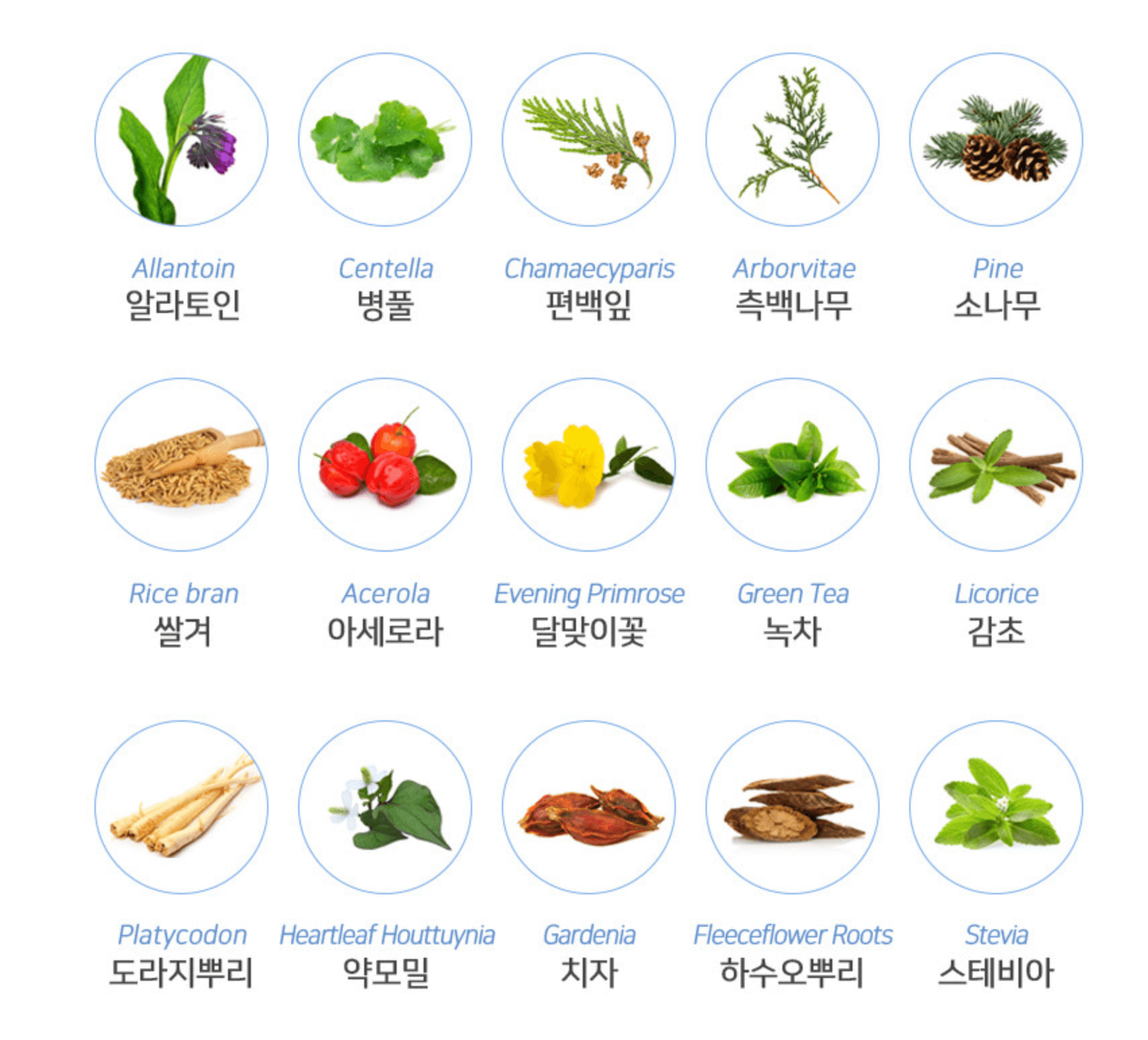 페토세라 바디워시 플러스 성분