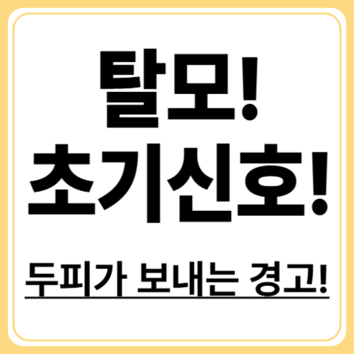 머리숱이 줄어드는 이유? 탈모 초기 신호 7가지