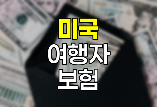 미국 여행자 보험 선택 전략