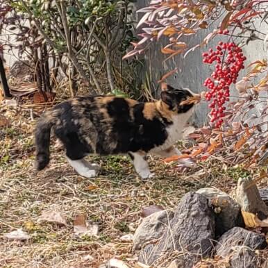 부산 근교 밀양 한옥 독채 숙소