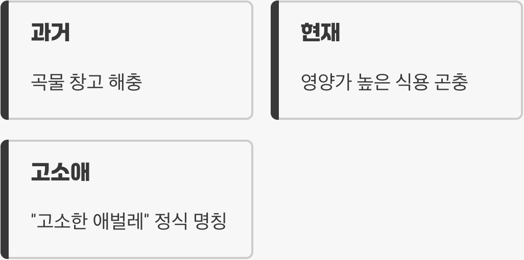 '고소애', 새로운 이름을 얻다