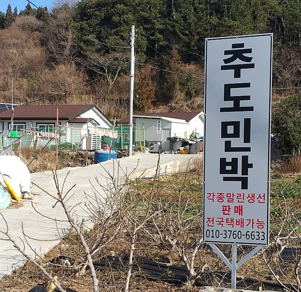 통영 생선 맛집 추도 민박 안내