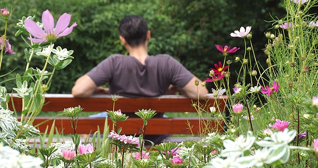 사회 초년생을 위한 부동산 계약 가이드 관련 사진