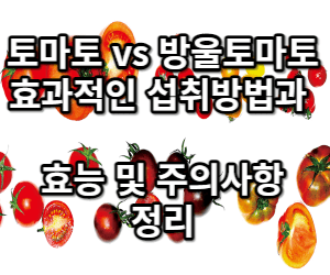 토마토 vs 방울토마토