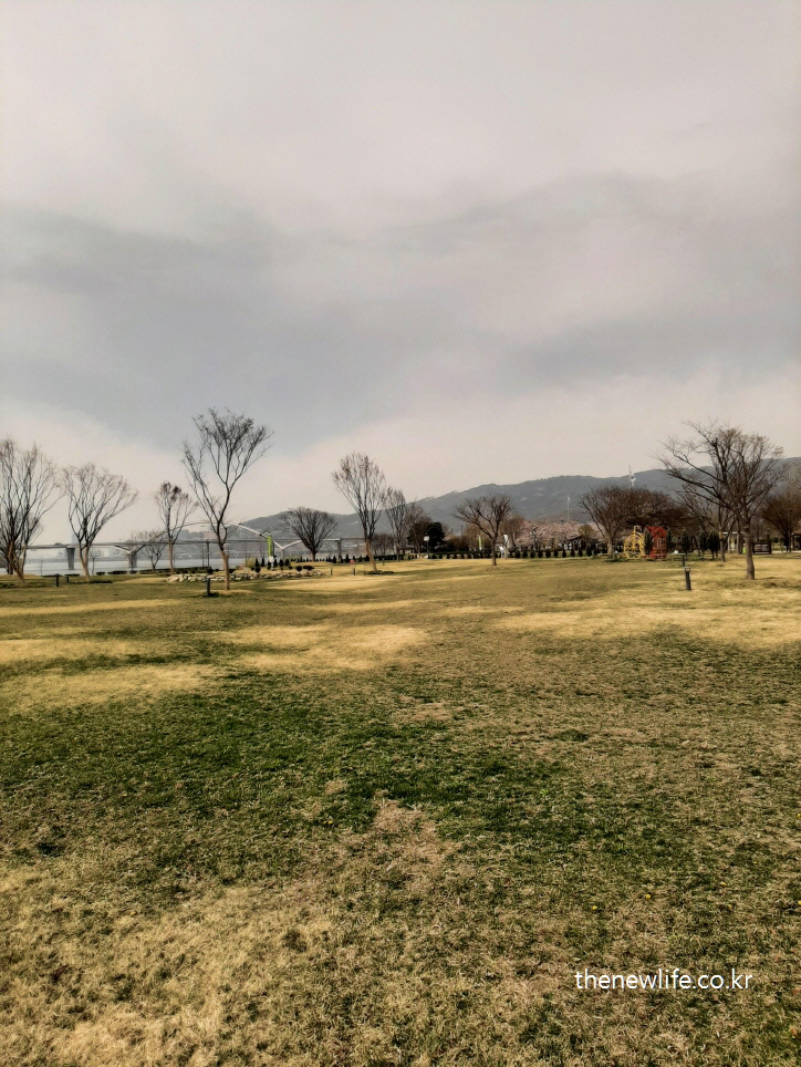Spacious lawn area at Guri Hangang Park, perfect for barefoot earthing / 잔디밭 맨발 걷기 어싱에 적합한 구리 한강시민공원 넓은 잔디밭