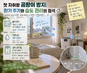 곰팡이 방지