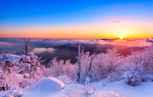 해돋이 행사