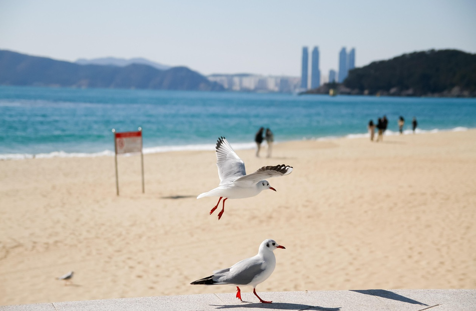 부산 해운대 해수욕장 백사장 사진
