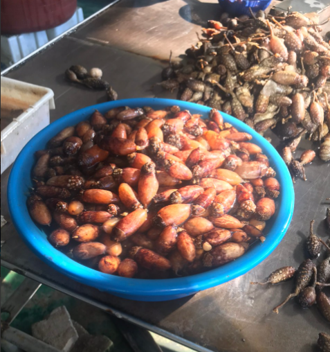 해동수산식품
