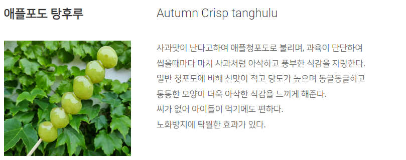 애플포도_탕후루