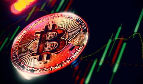 파이코인 전망 몰랐다면 손해! 채굴 방법과 투자 전략