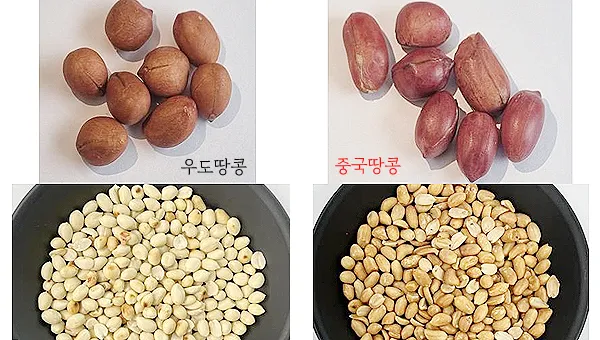 제주 우도 땅콩아이스크림 맛집과 먹거리 추천_8