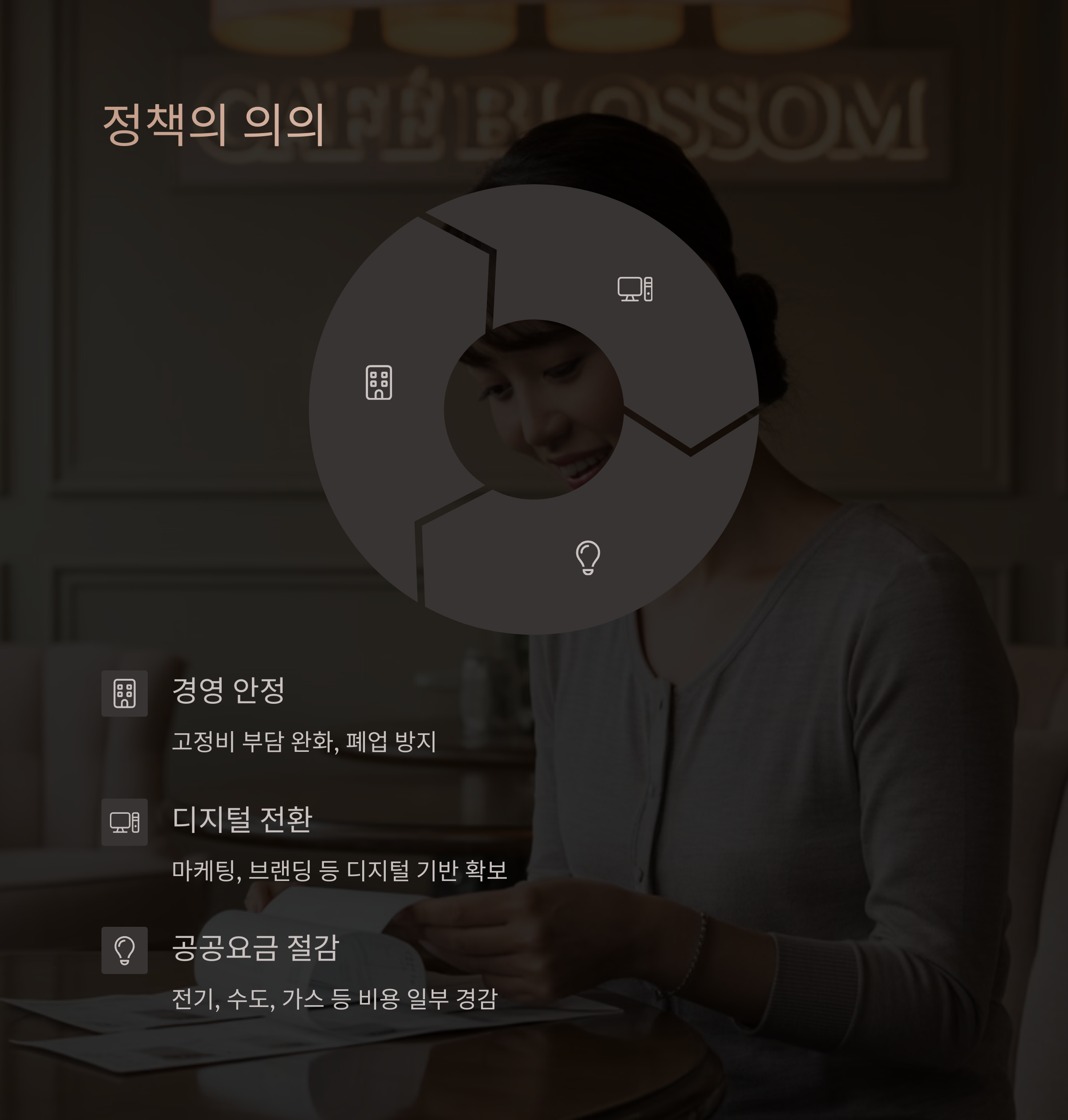 정책의 의의 및 효과