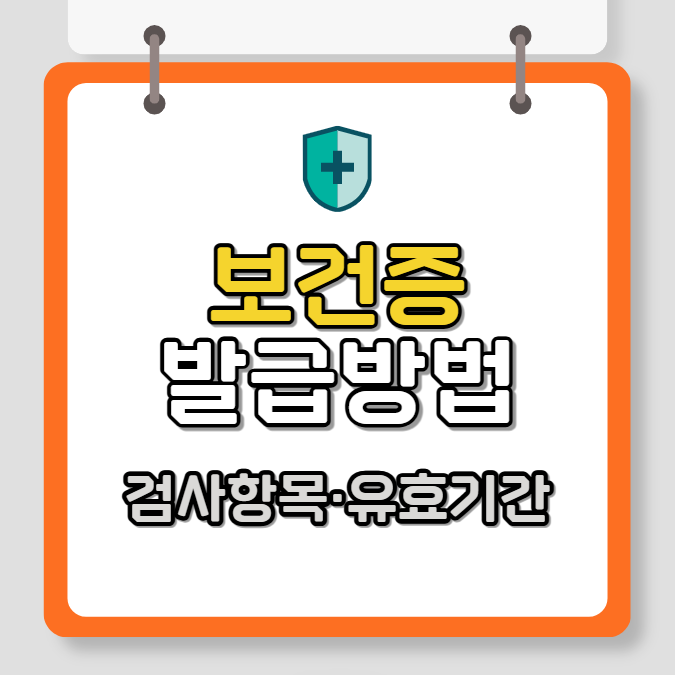 보건증 발급방법 검사항목 유효기간