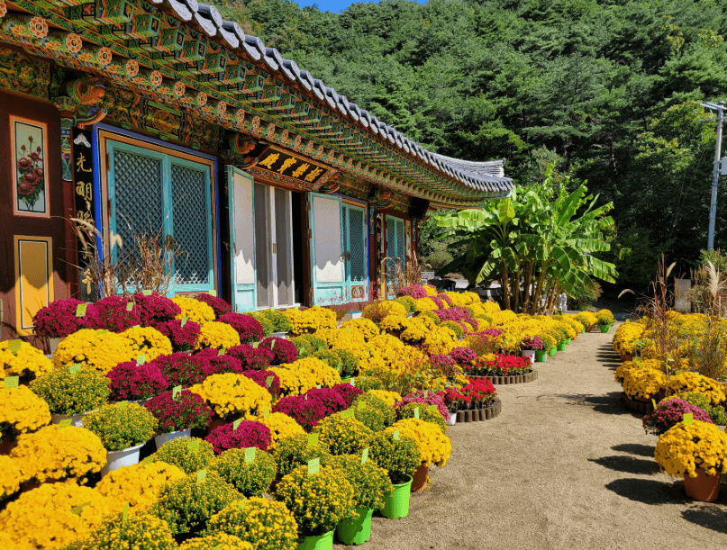 문수사