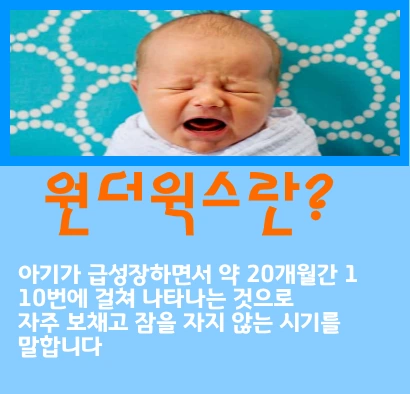 원더윅스 뜻 