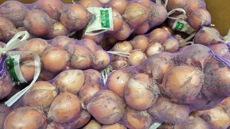 양파오래보관하는법