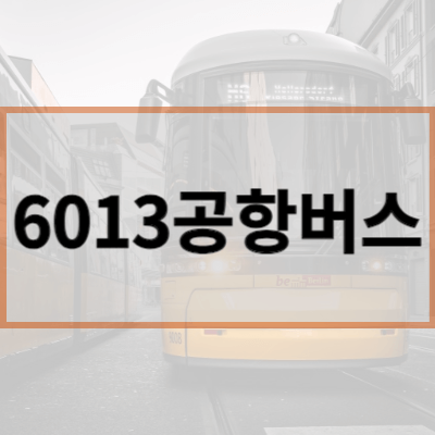 6013공항버스