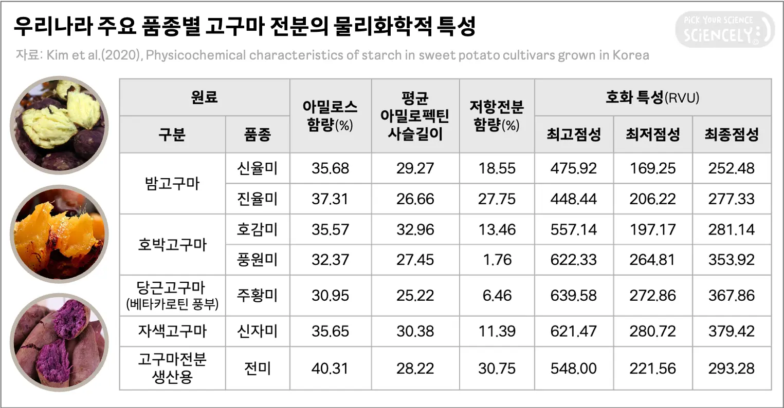 고구마 품종별 전분 물리화학적 특성. 밤고구마 호박고구마 당근베타카로틴고구마 자색고구마 고구마전분용, 신율미 진율미 호감미 풍원미 주황미 신자미 전미 아밀로스함량 아밀로펙틴사슬길이 저항전분 호화점성