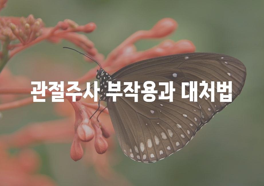 샘플 (51)