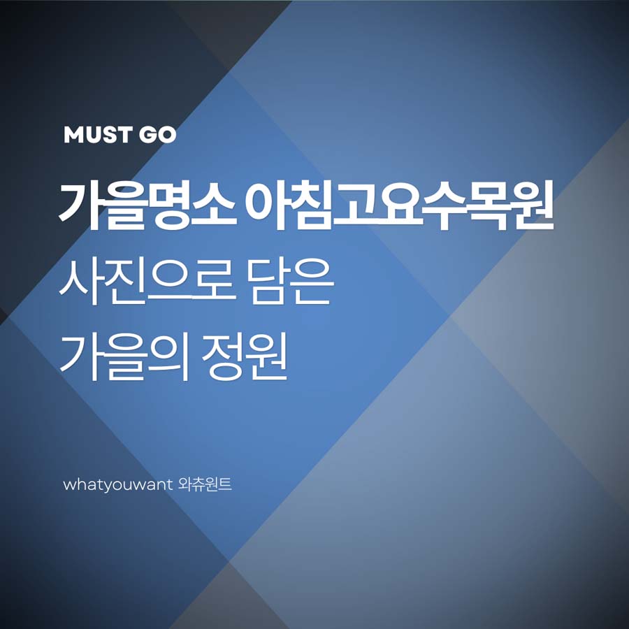 가을빛 가득한 아침고요수목원, 사진으로 담은 정원의 계절