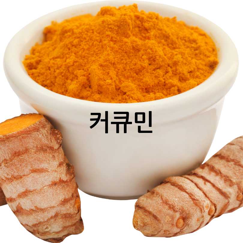 폐에 좋은 영양제