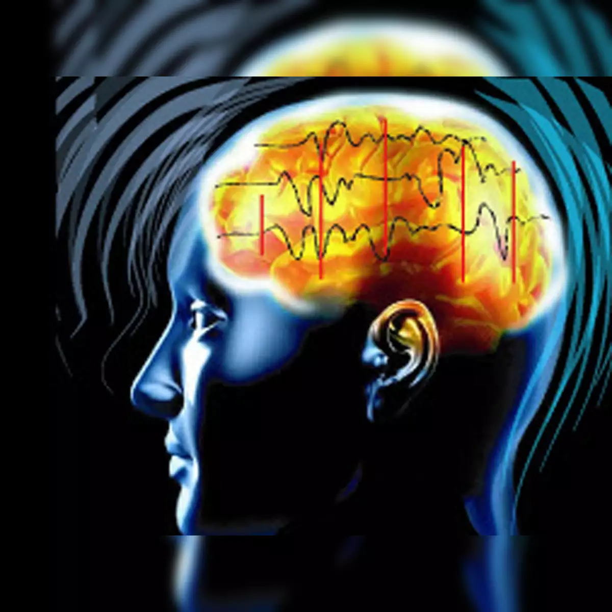 인간의 뇌: 작동 원리와 특별한 점