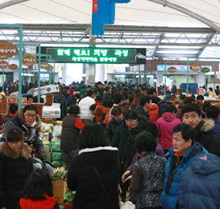 상시개장 태안 5일장 개장 기본정보와 특징 소개 박서진 출연