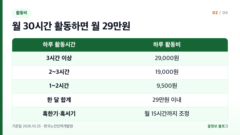 노인일자리 공익활동 활동비 하루 3시간 이상 29000원 2시간 19000원 1시간 9500원 월 29만원 이내