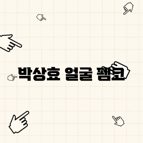 박상효 얼굴 펨코