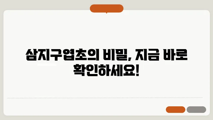 삼지구엽초 효능 부작용 알아봐요
