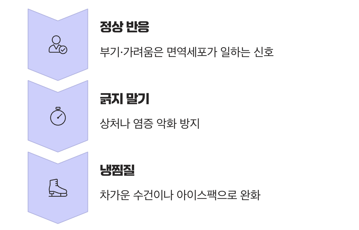 붓고 가려운 건 정상일까? 올바른 대처법