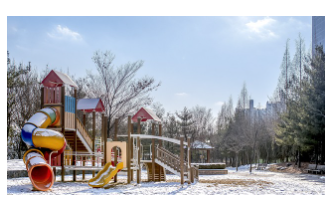 자연에서 배우는 협동심