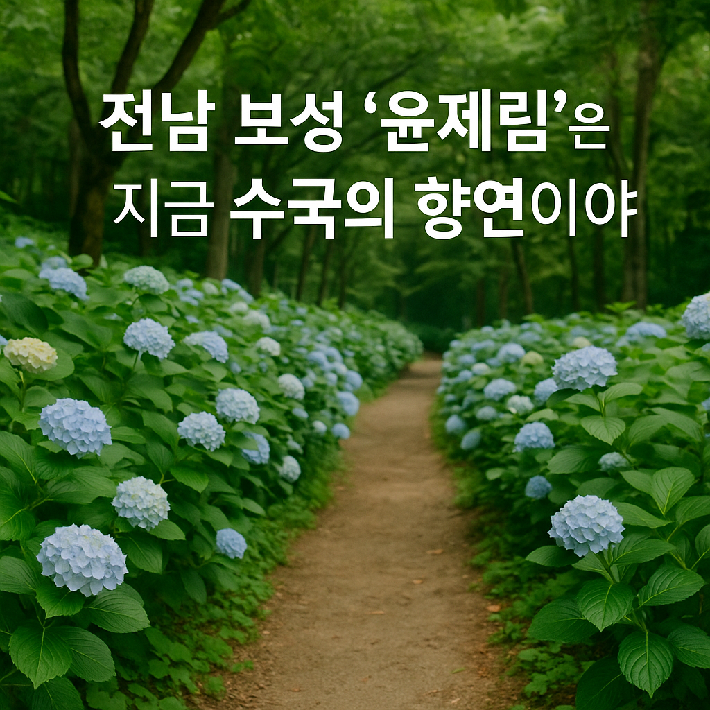 수국이 물드는 윤제림 걷기 여행