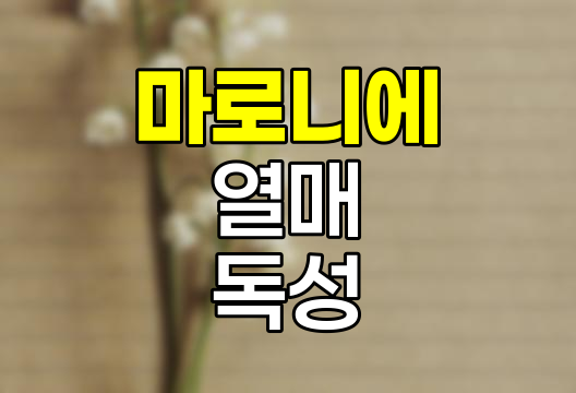 마로니에 열매, 독성, 종류, 활용법 상세 가이드 관련 정보