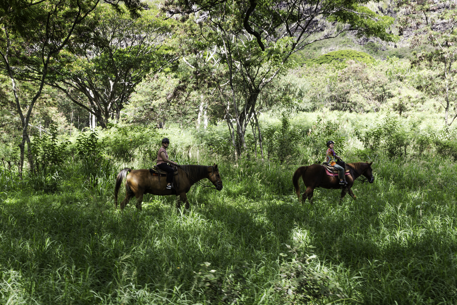 쿠알로아랜치 승마 투어