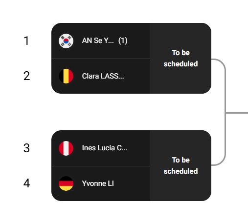 world-badminton-match