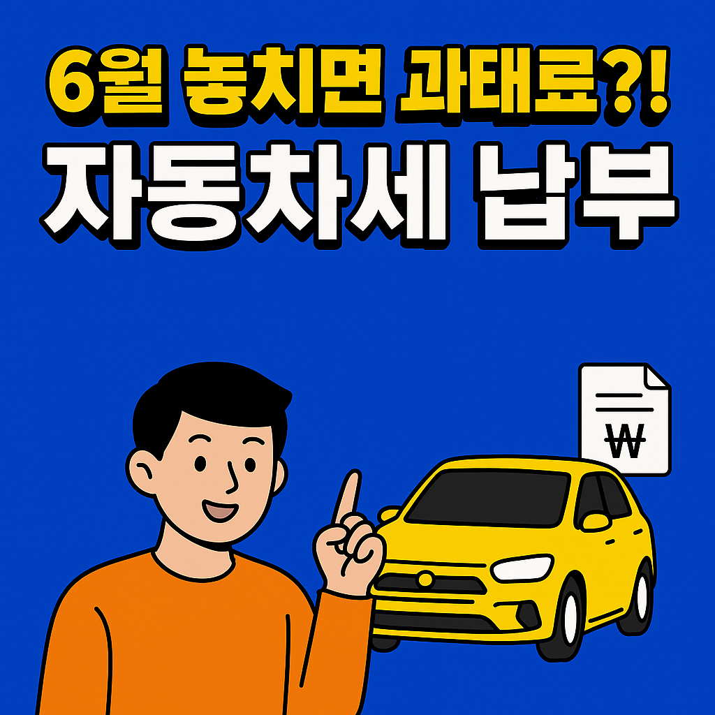 6월자동차세납부