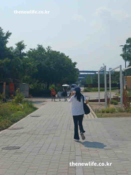 더위 먹었을때 증상 수분 염분